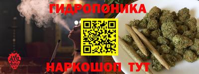 СК Сланцы