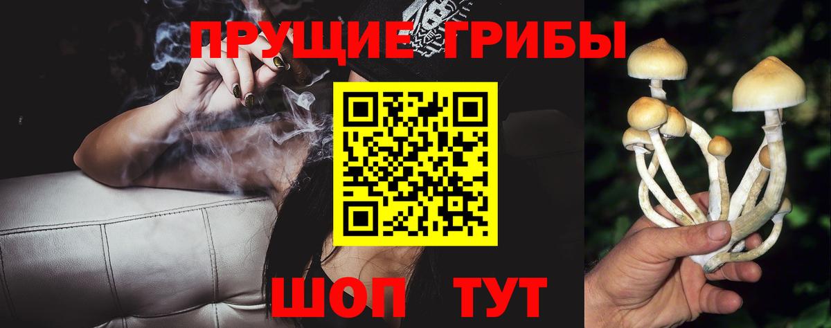 Псилоцибиновые грибы мухоморы  Вход с VPN  Михайловск 